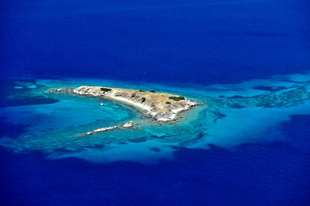  Drenia Magareća ostrva Atos 